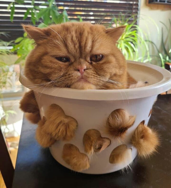 05-15-31-1620045081963306831