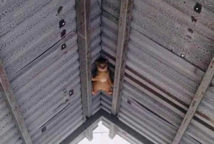 05-15-31-1620045083261775638