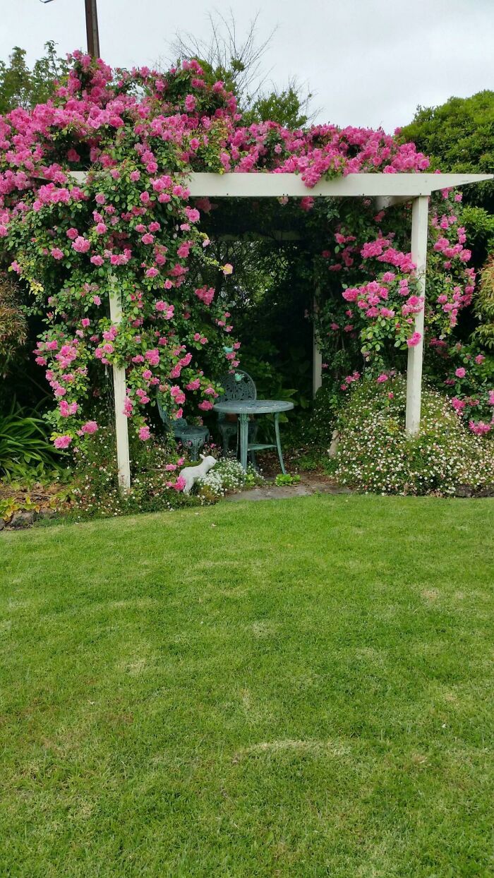 05-15-35-1620304558963312279