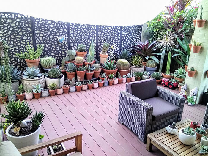 05-15-36-16203045631120839802