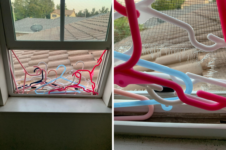 05-15-45-1622205918702291621