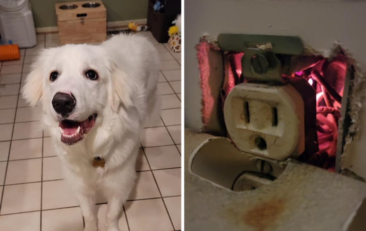 05-15-58-16214290821073171091