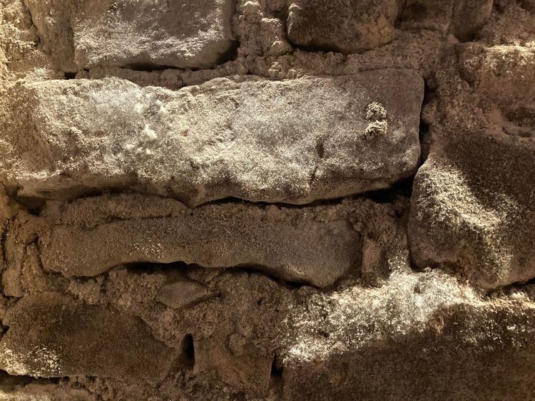 05-16-02-16212565761451889467