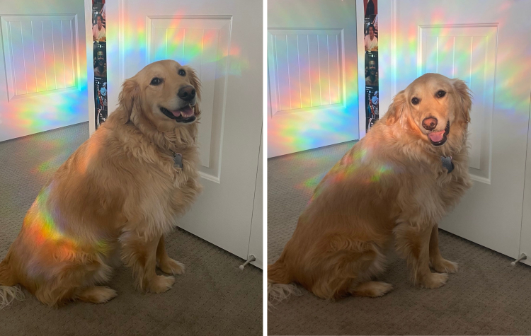 05-16-07-16214296491171036417