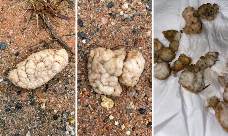 05-16-21-16212577061419523442