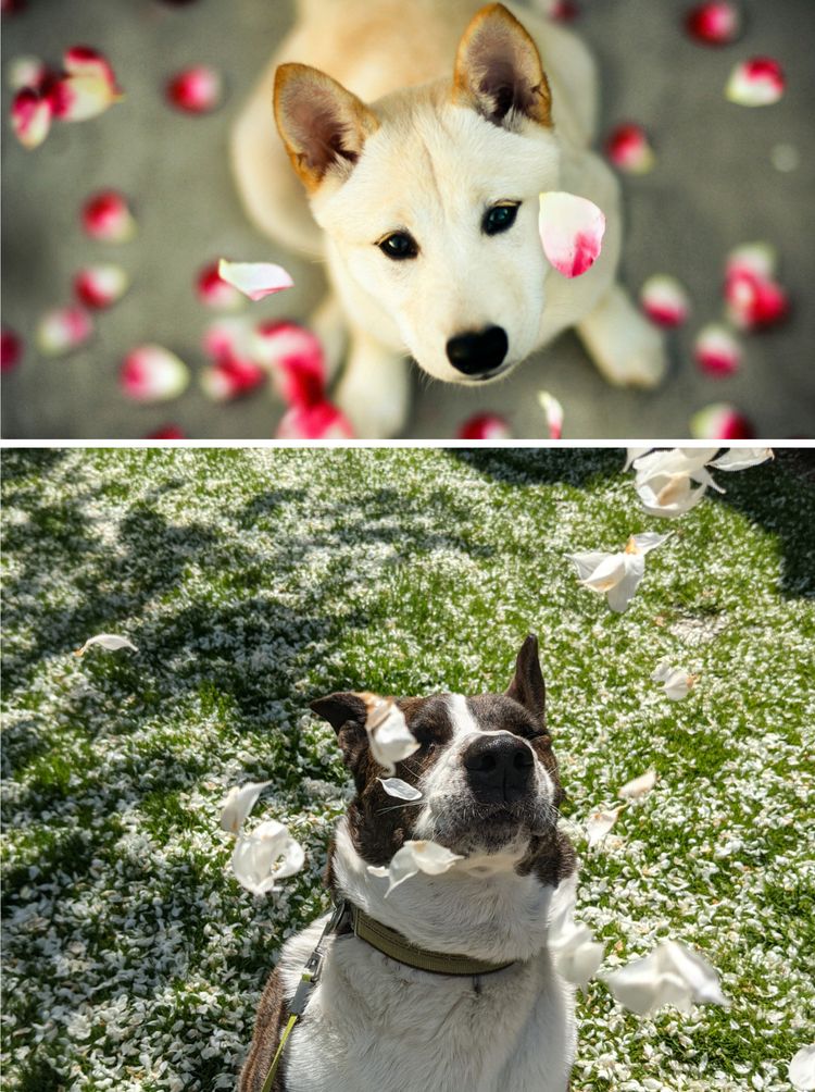 05-16-46-16206543721397964907