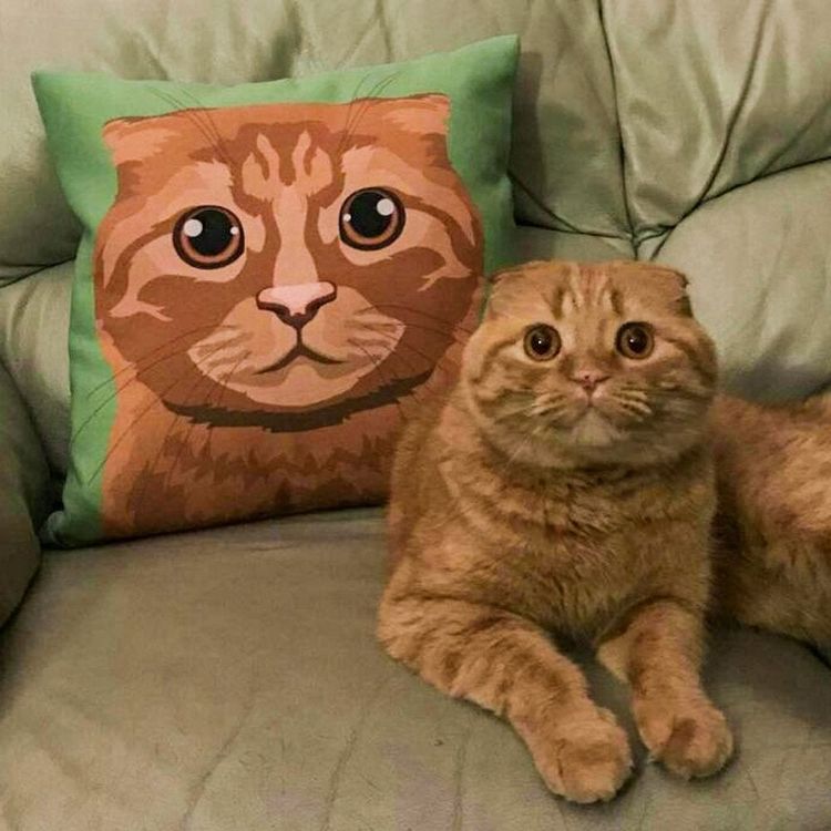 05-16-46-1620654374346915242