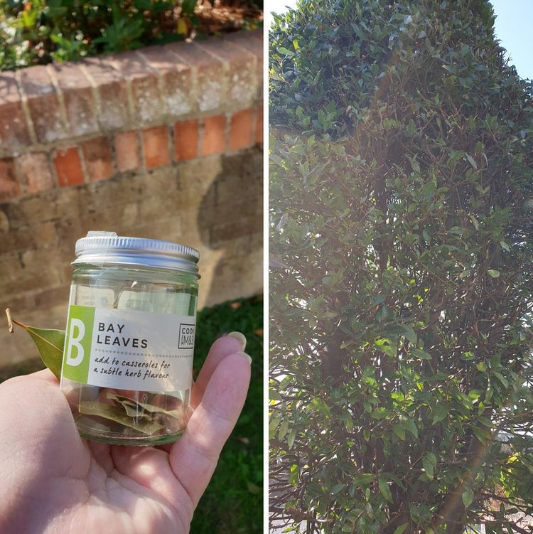 05-16-52-16214323521496773155