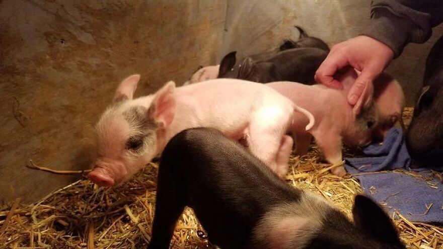 05-16-52-1622469155616998431