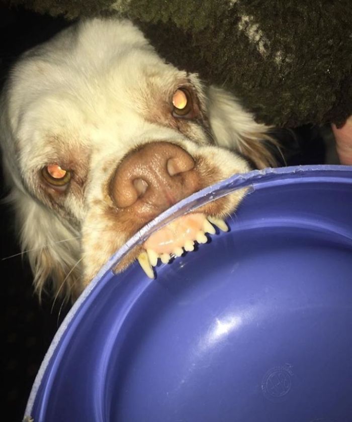 05-16-55-16222101311680732174