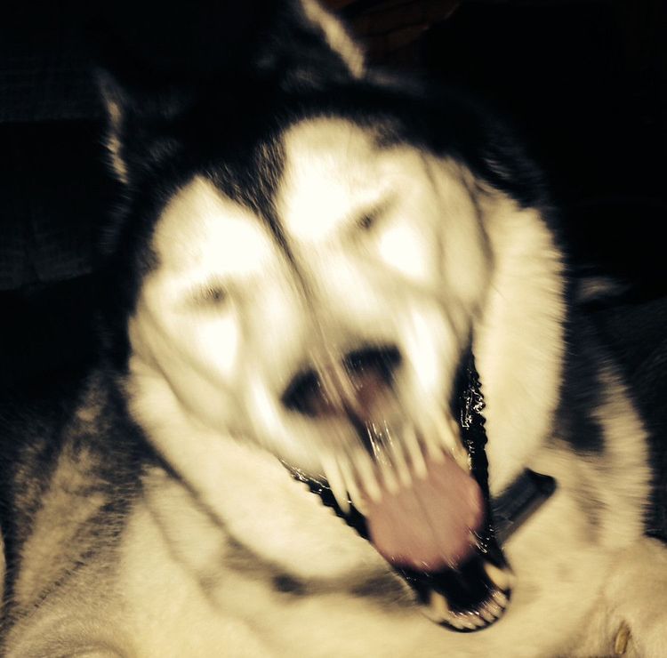 05-17-00-16222104401979927902