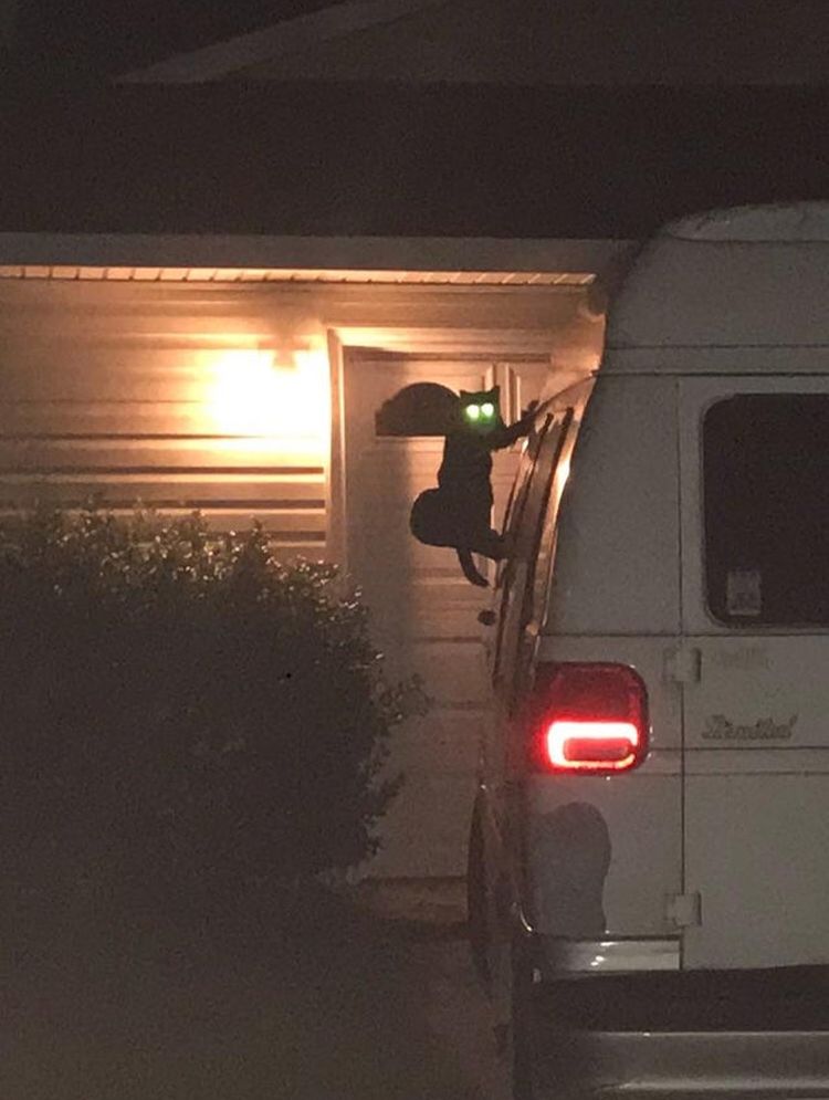 05-17-00-16222104432121413600