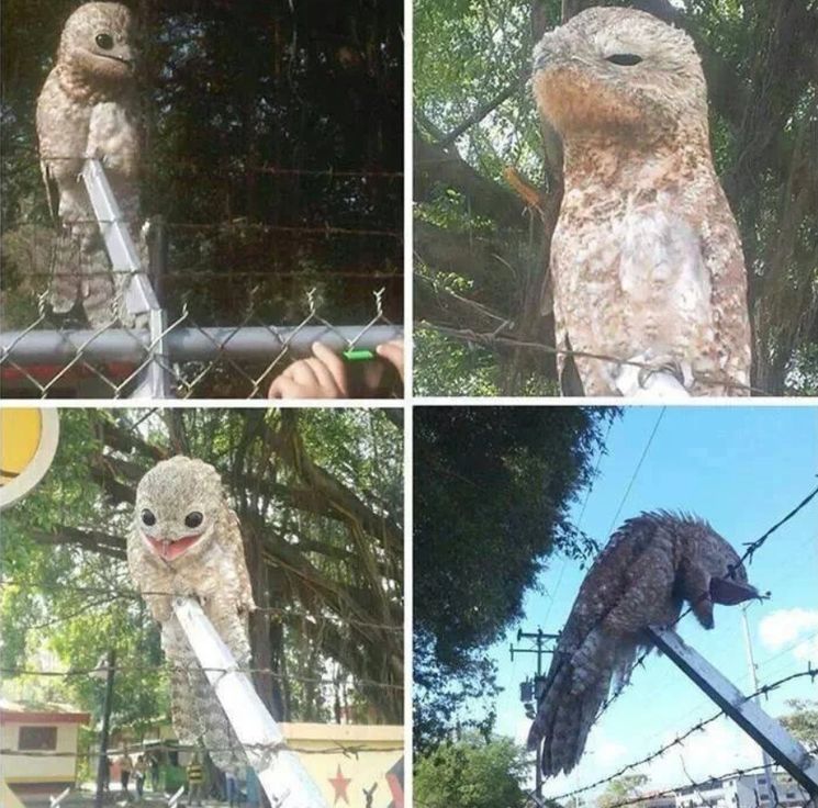 05-17-00-1622210456822015082