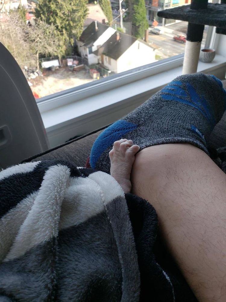 05-17-01-1622210477346613953