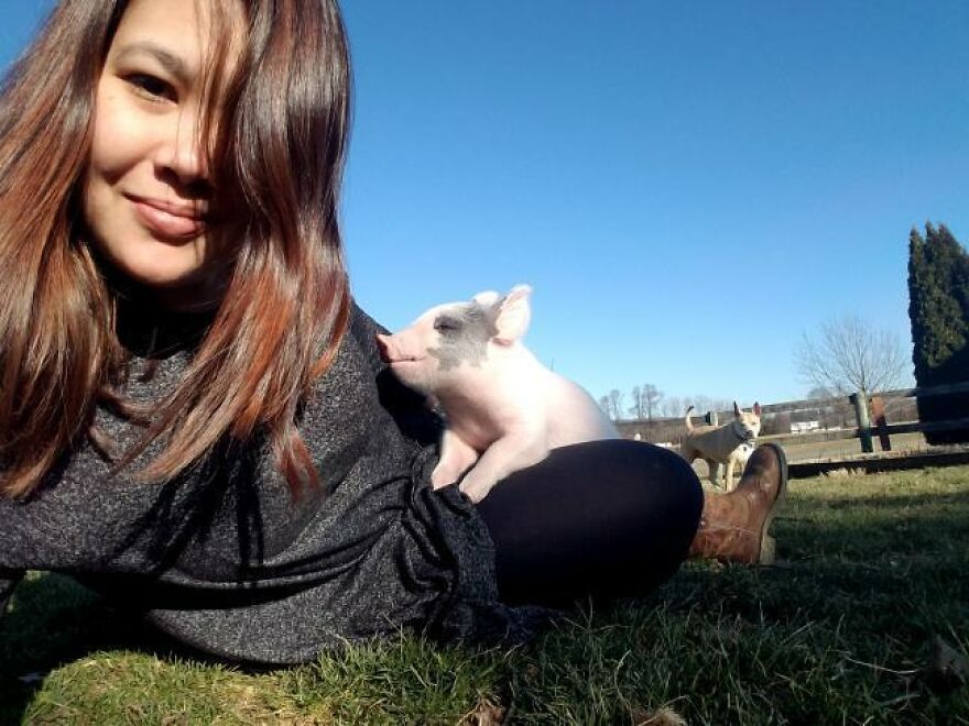 05-17-03-16224698381234799749