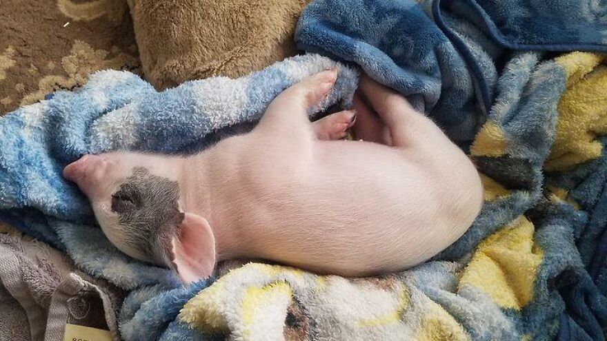 05-17-07-16224700261826205623