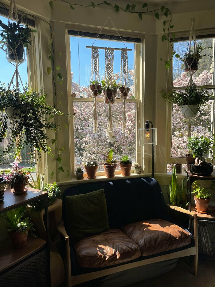 05-17-11-16202238711575531454