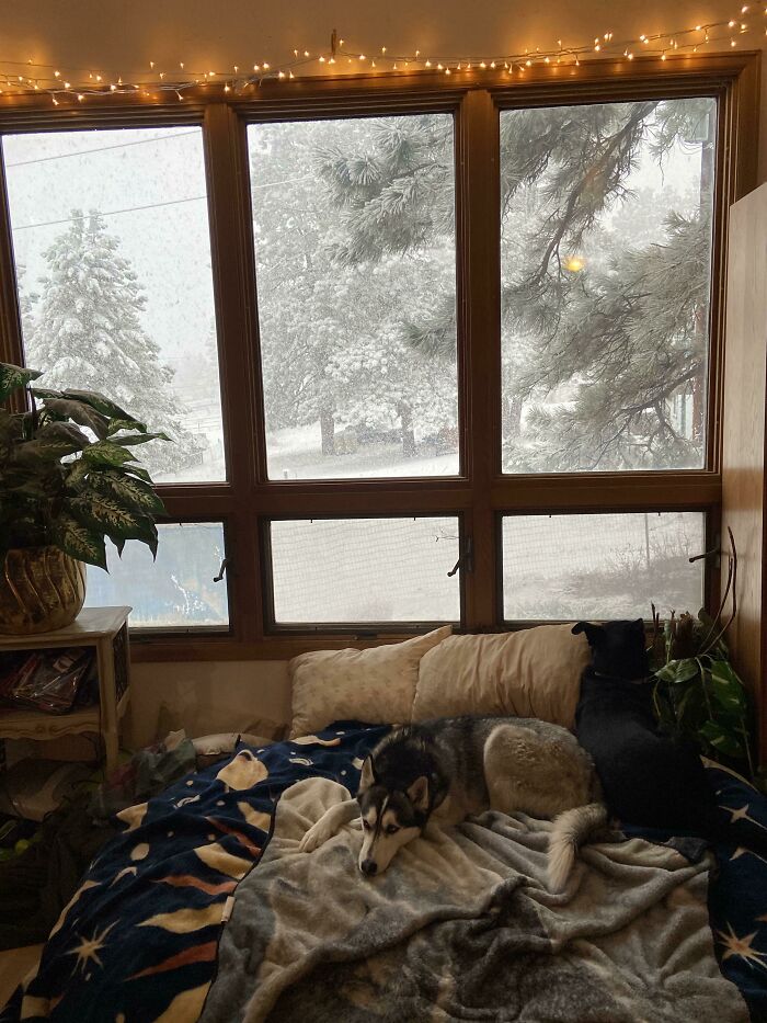 05-17-11-16202238871622036736