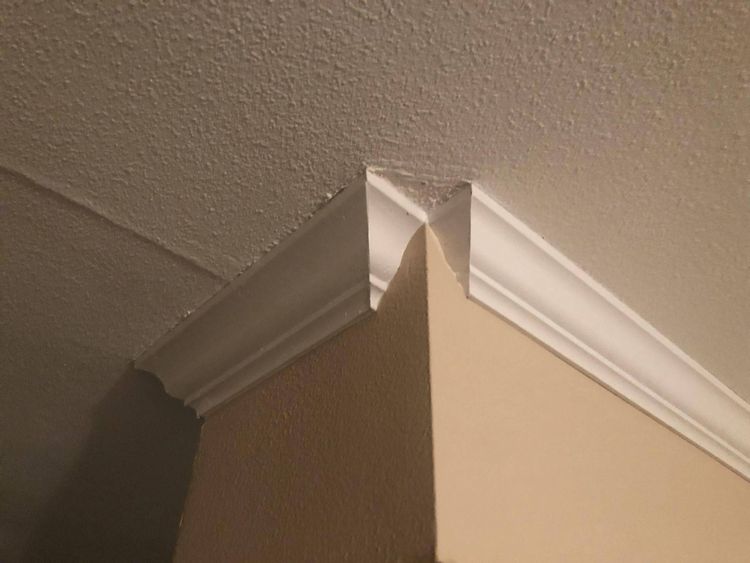 05-17-11-16203967022100420906