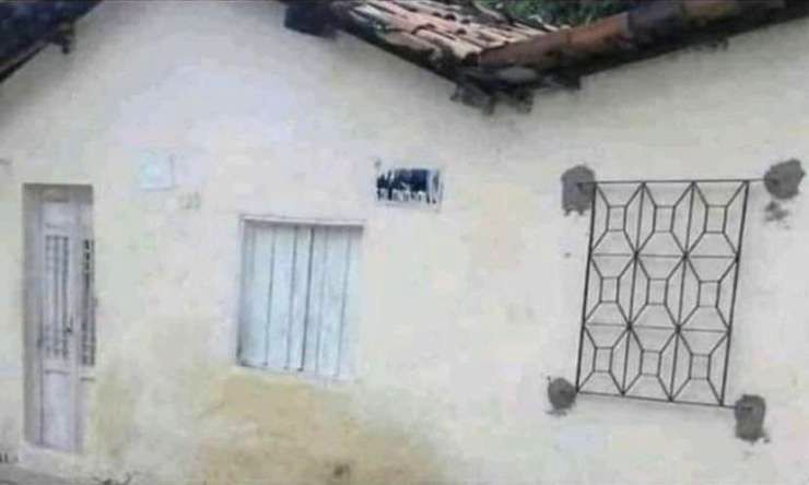 05-17-11-16203967061203028181