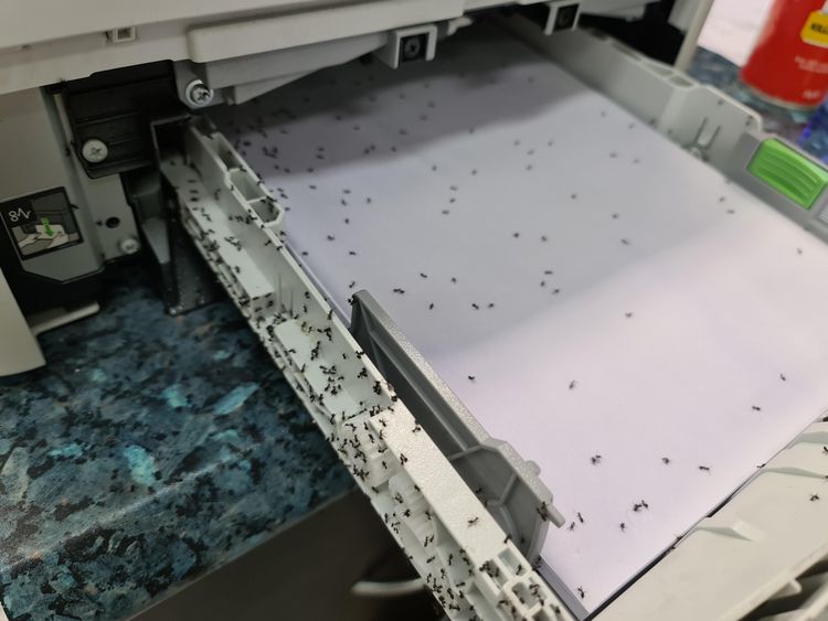 05-17-14-1622124860403669316