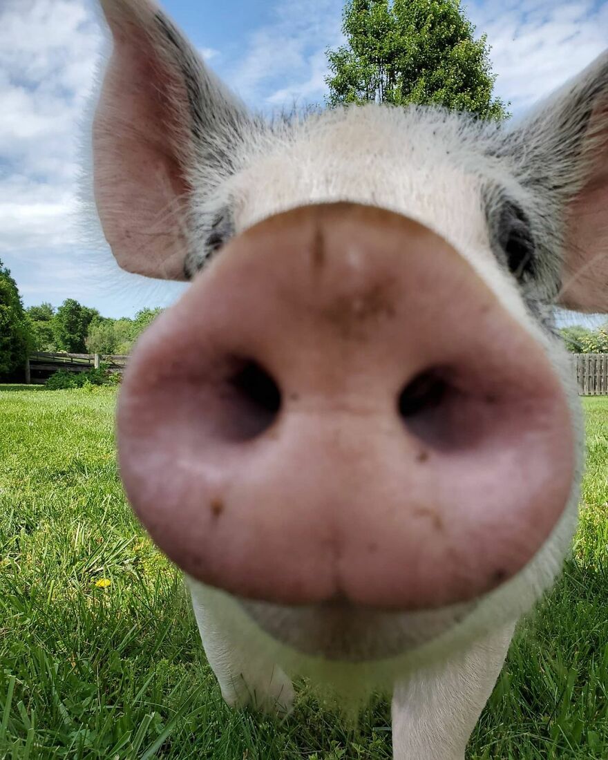 05-17-17-1622470669284862225