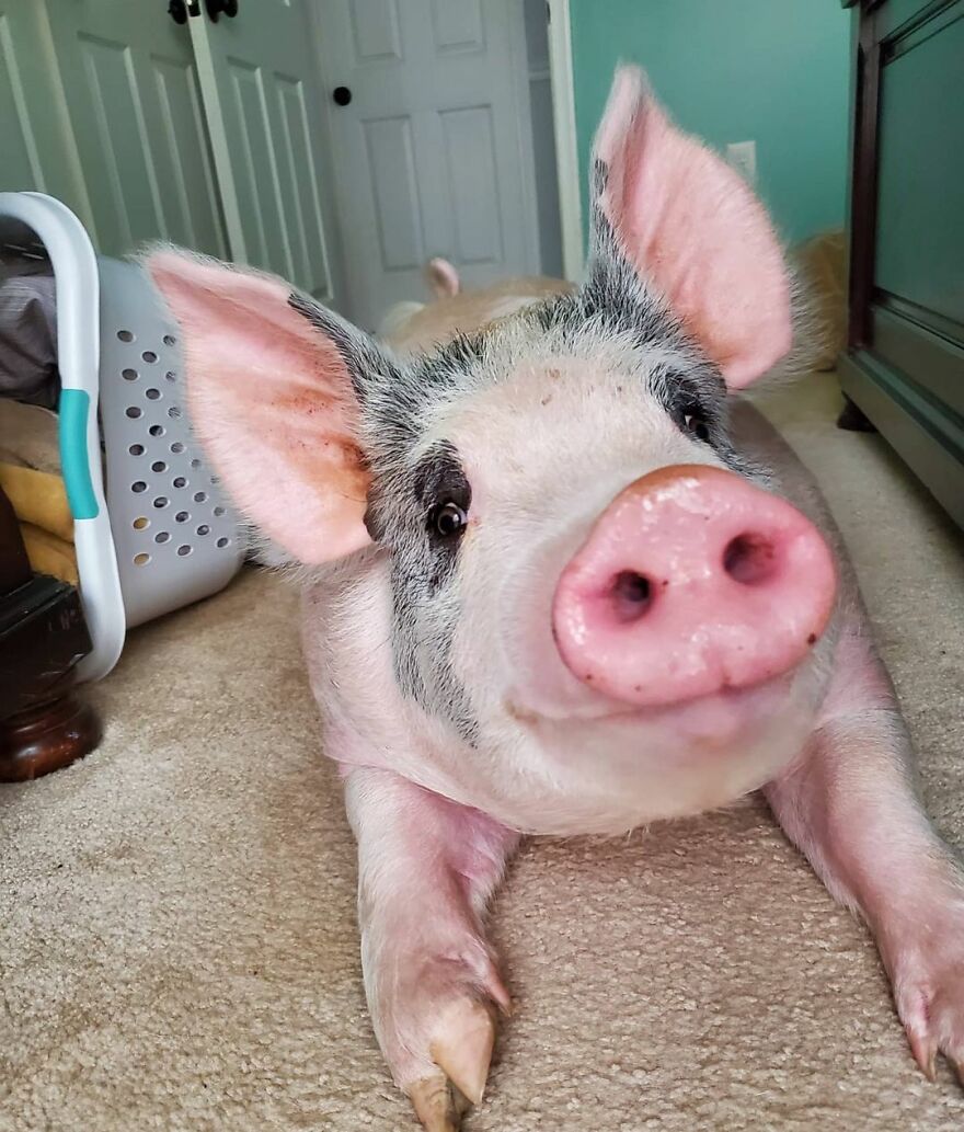 05-17-18-16224707302048495176