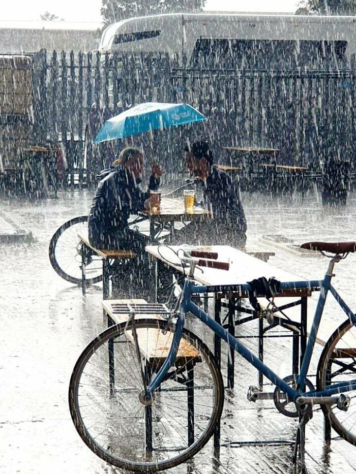 05-17-24-1621520662232920610