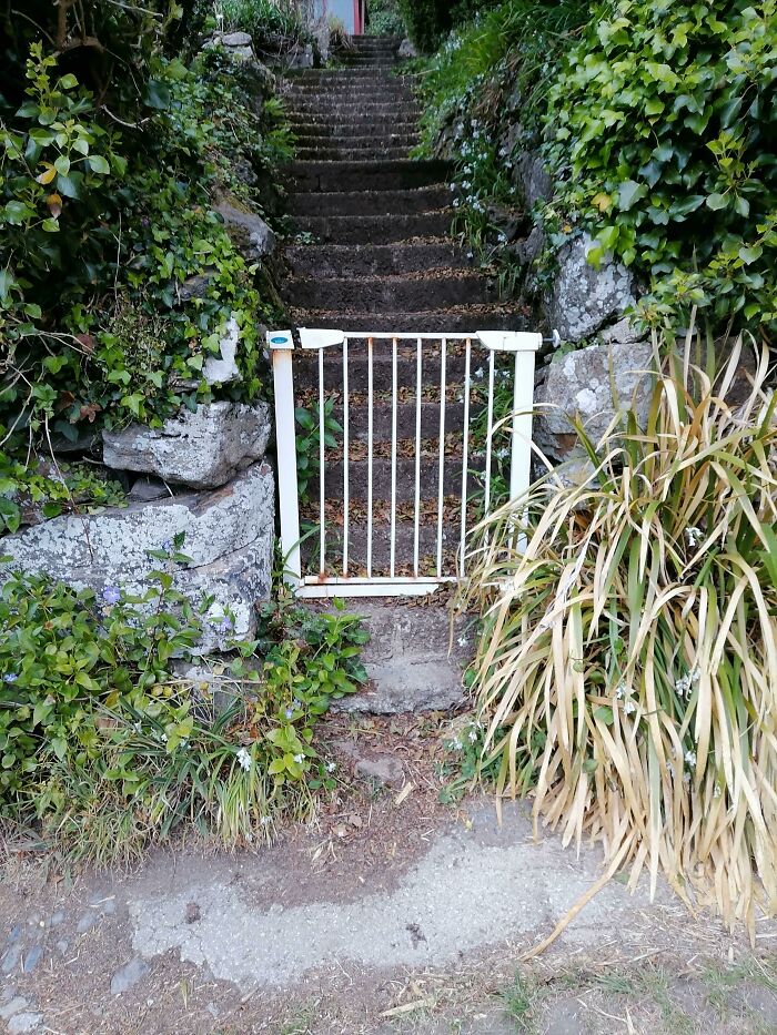 05-17-25-16215207391533026600