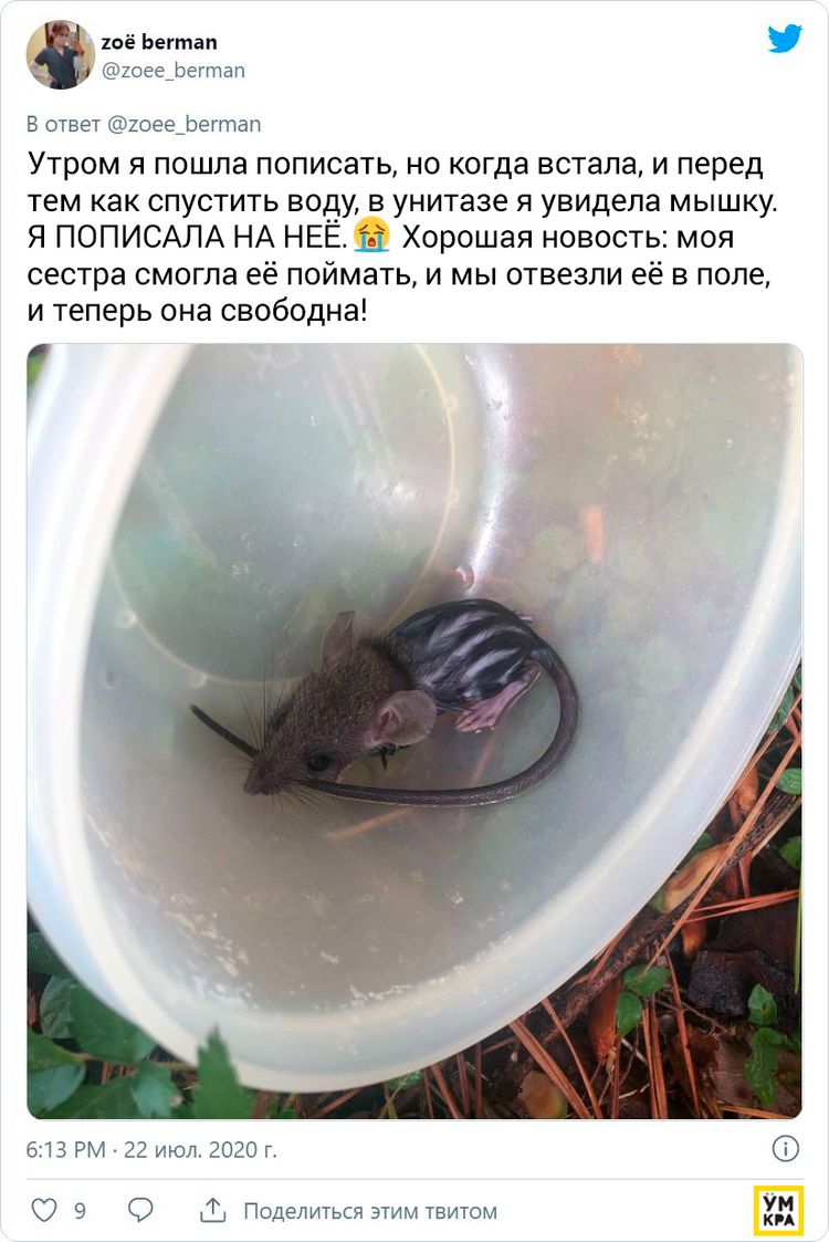 05-17-44-16201394821261867736