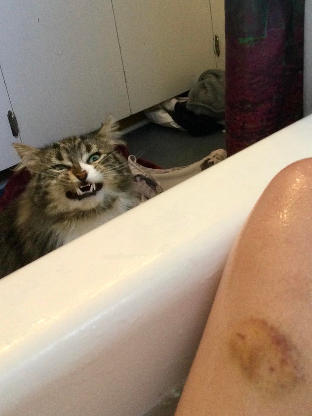 05-17-53-1620744835725638158