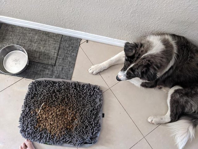 05-17-54-1620744842192408328