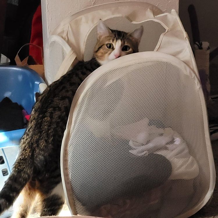 05-17-54-16207448461139398615