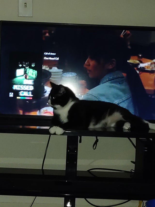 05-17-54-16207448532019382301