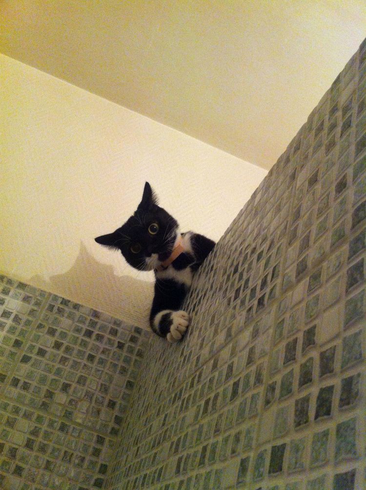 05-17-54-16207448561088165075