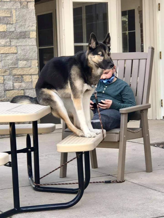 05-17-54-16207448601580701747