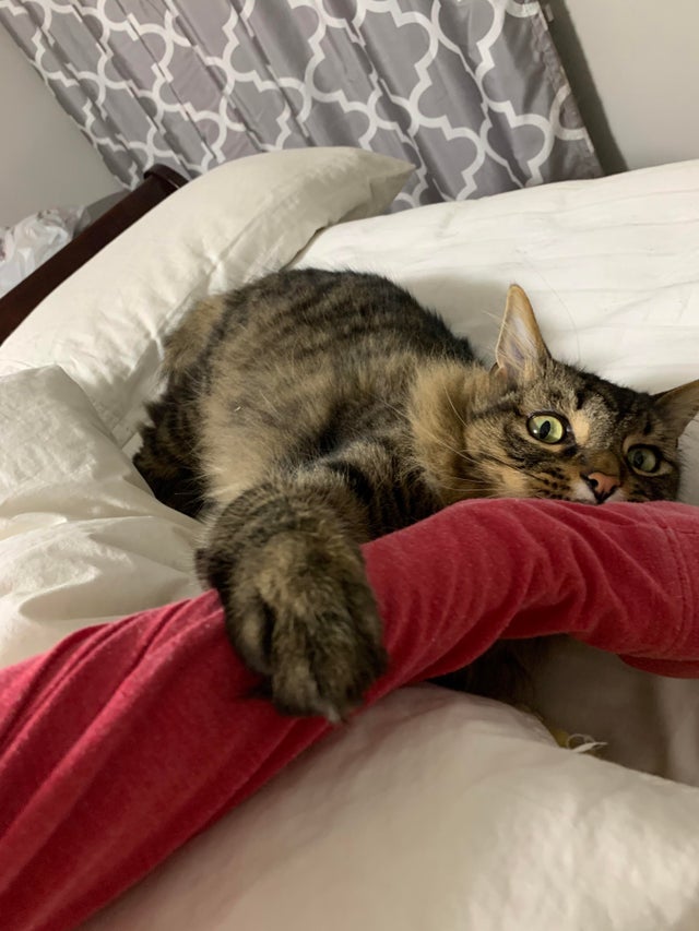 05-17-54-16207448721298474485