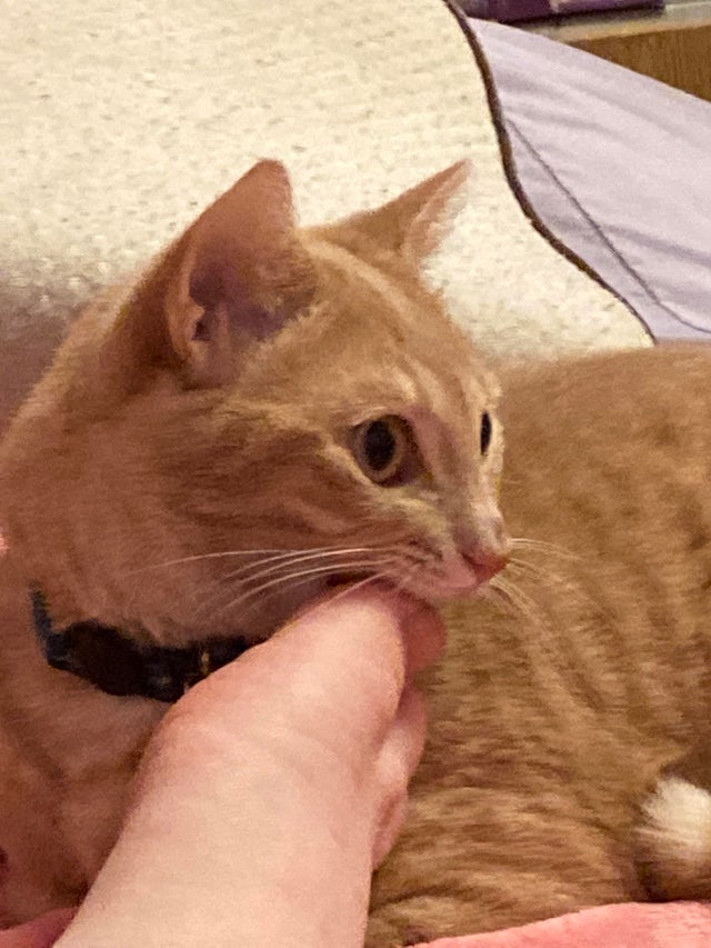 05-17-54-16207448781721456256