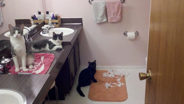 05-17-54-16207448821015574264