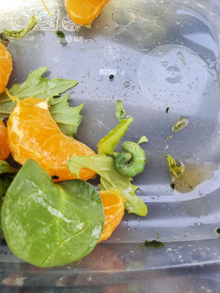 05-17-54-16215224751872121799