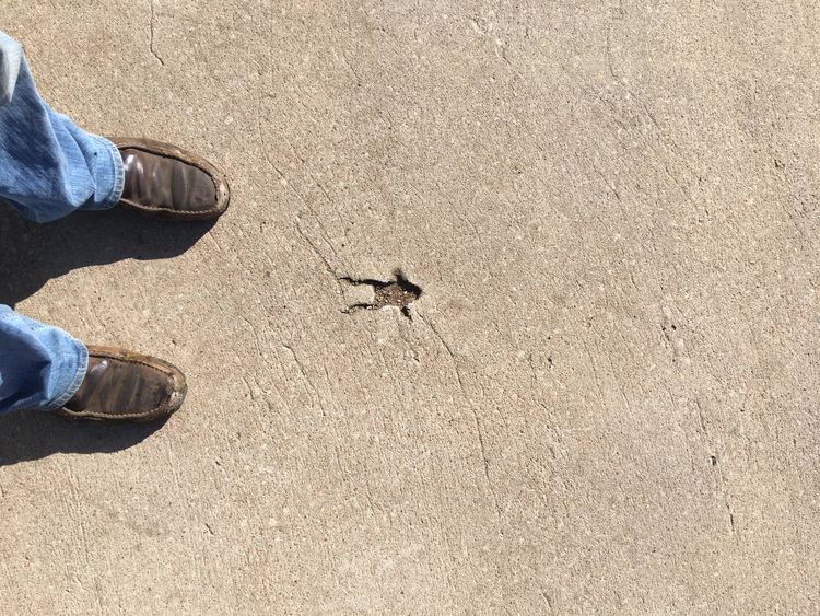 05-17-54-1621522475289416961