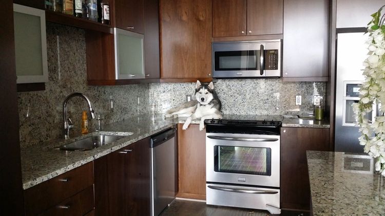 05-17-55-16207449032010129102