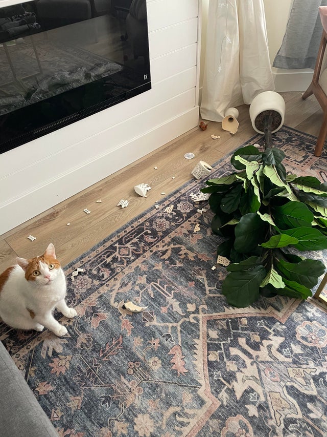 05-17-55-1620744912930642294