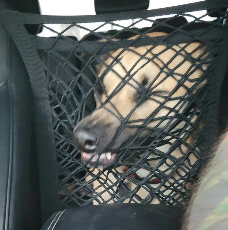 05-17-56-1620744975834824971