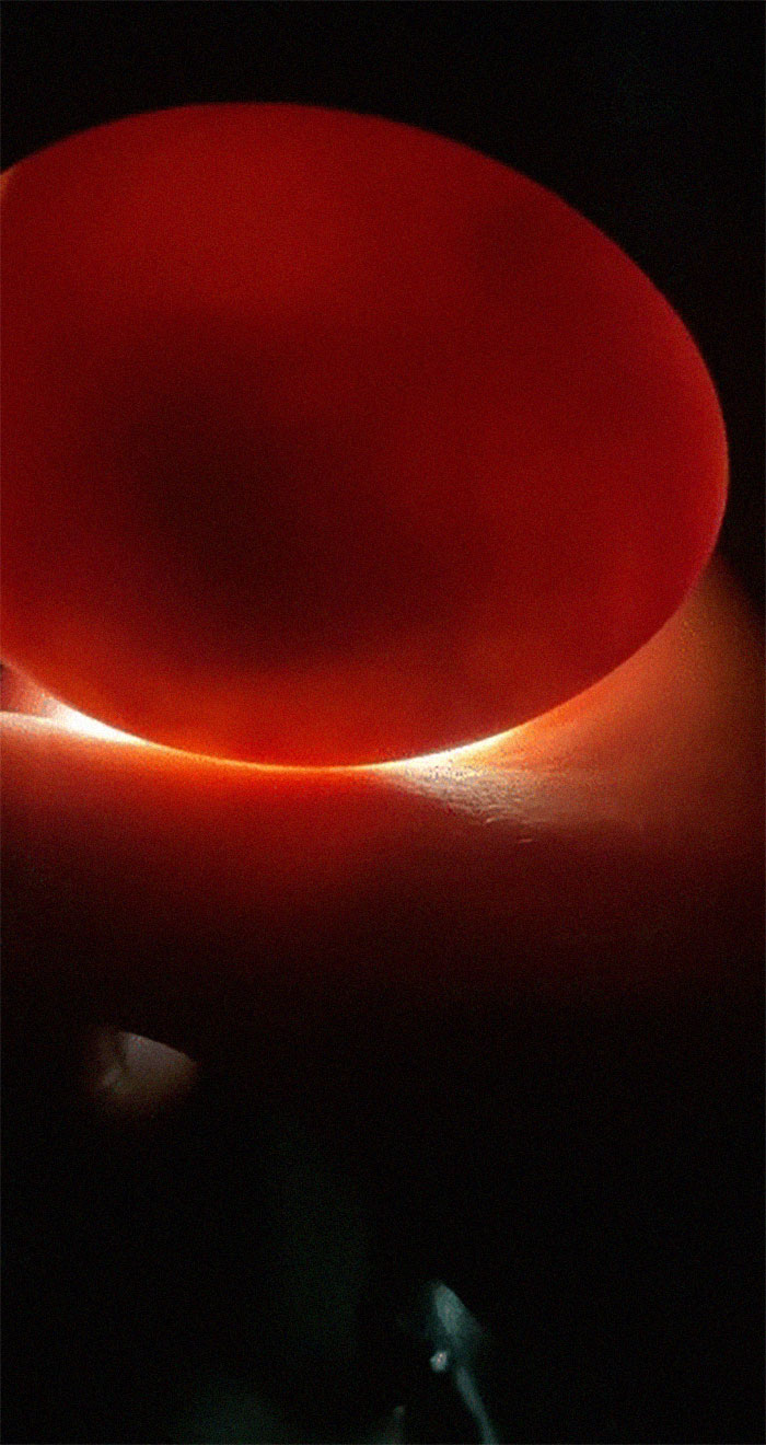 05-19-26-16207504191285497864