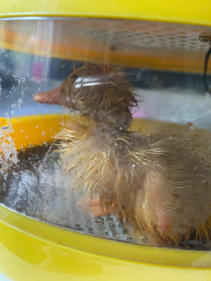 05-19-27-1620750420844994821