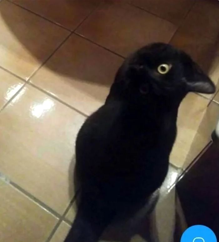 05-19-39-16212695741575736808