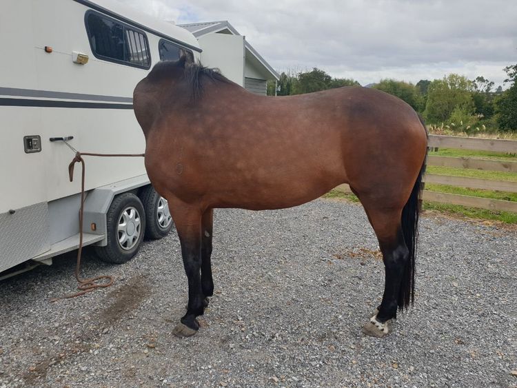 05-19-39-16212695741967038882