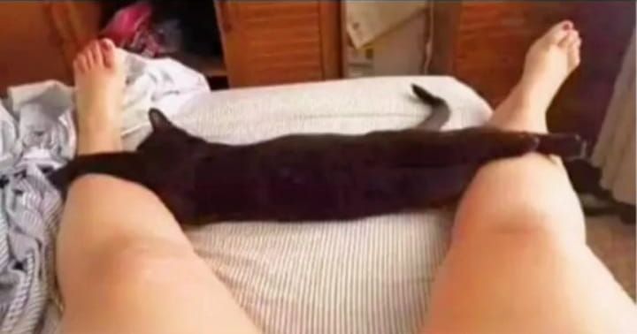 05-19-39-16212695742076722507