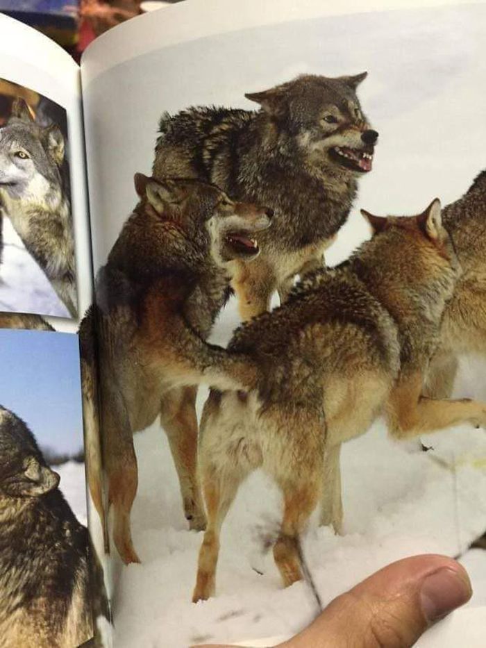 05-19-39-1621269574289274331